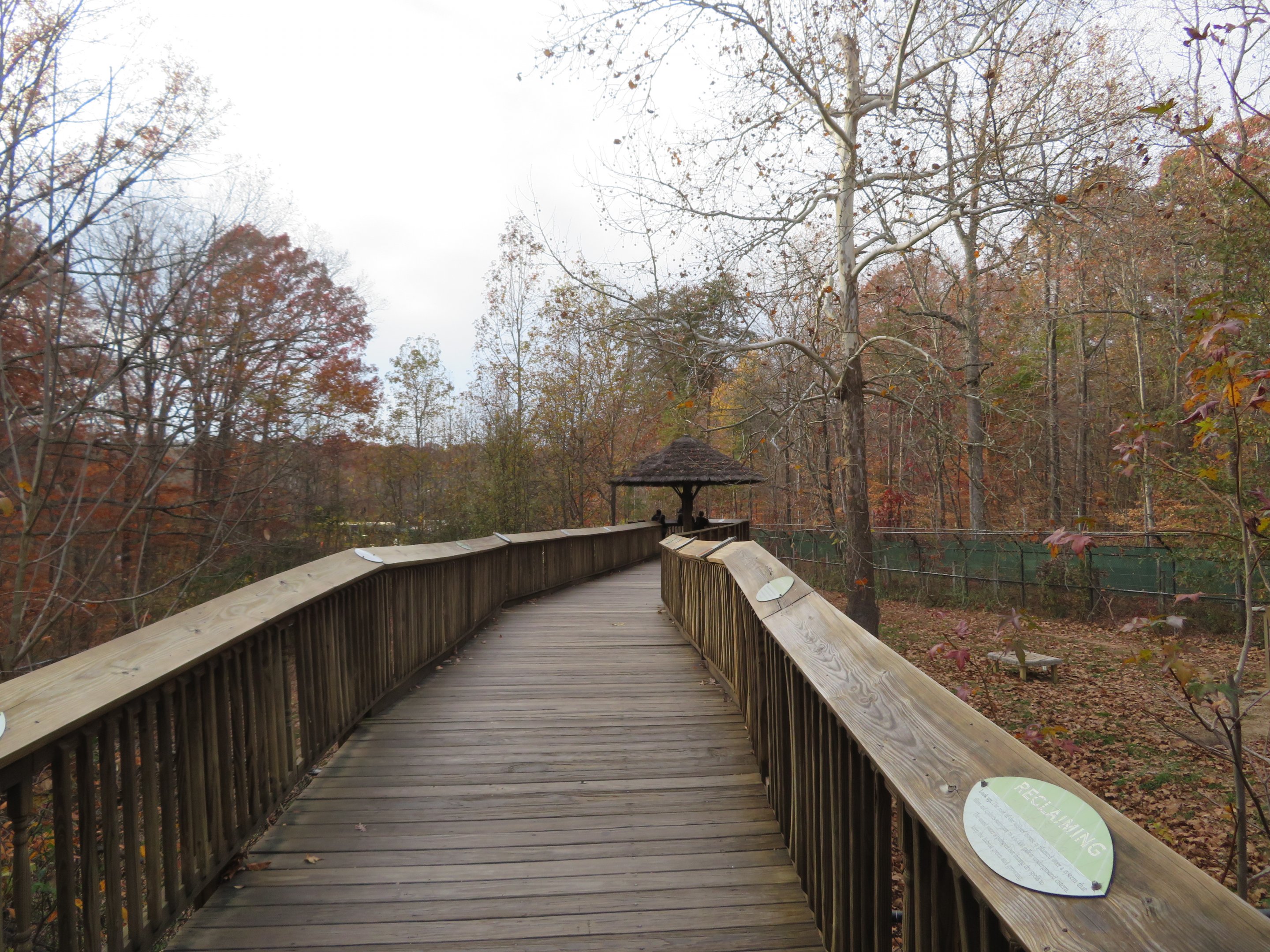 Maned Wolf/Giant Anteater Boardwalk
