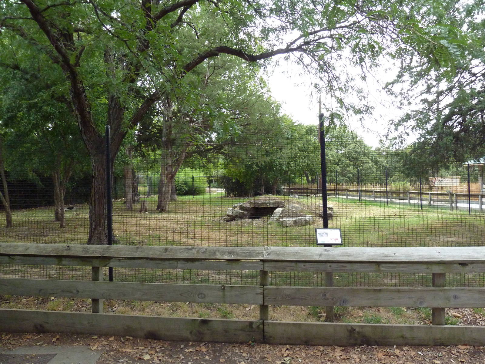 Maned Wolf/Giant Anteater Exhibit