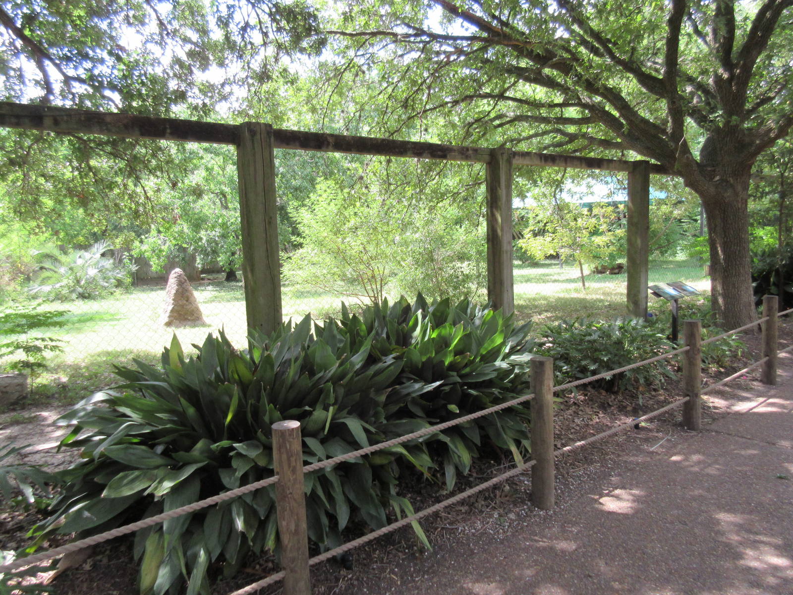 Maned Wolf/Giant Anteater Exhibit