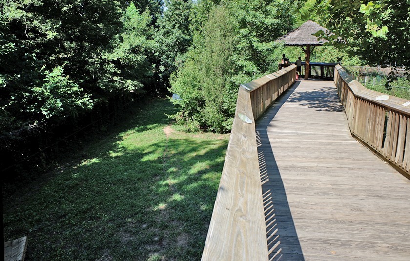 maned wolf giant anteater exhibit
