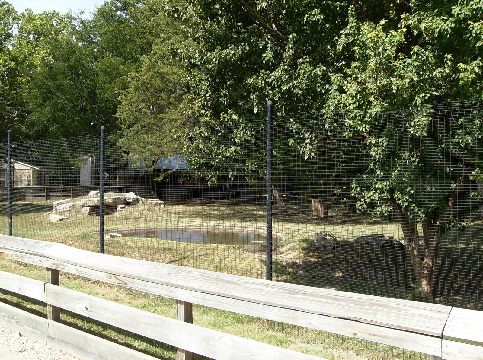 Maned Wolf/Giant Anteater mixed exhibit