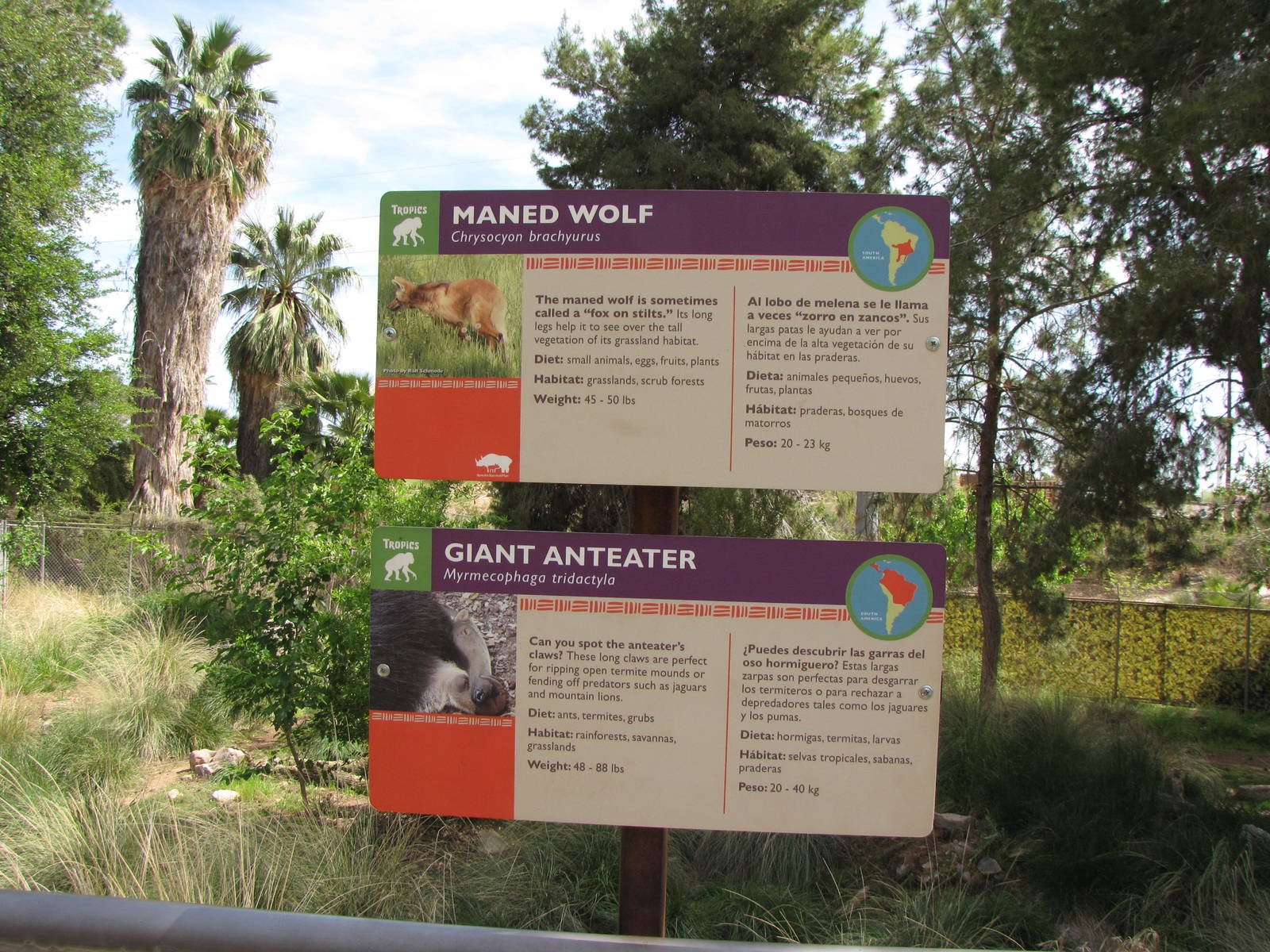 Maned Wolf/Giant Anteater Signage