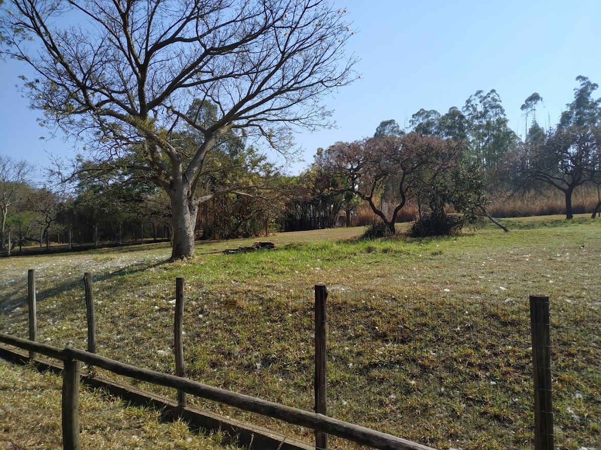 Maned Wolf Habitat Left by mid-September