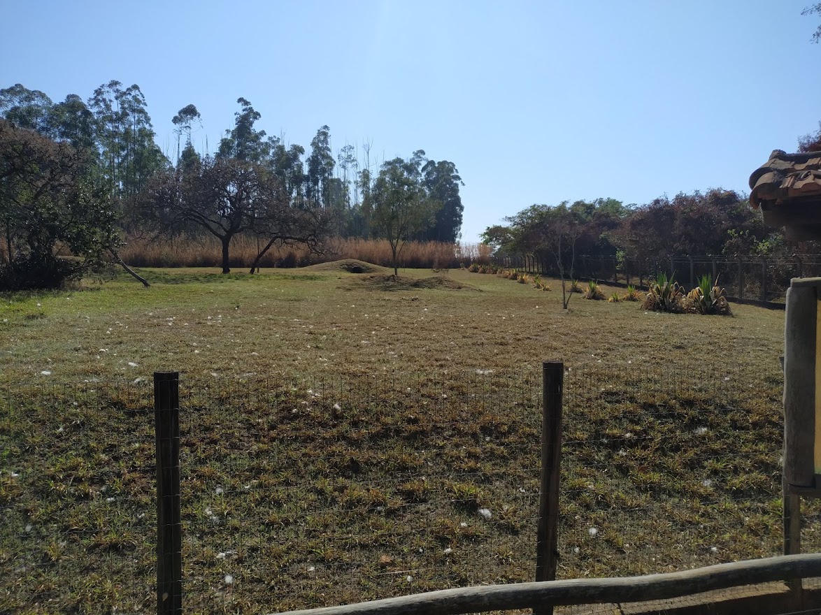 Maned Wolf Habitat Right by mid-September