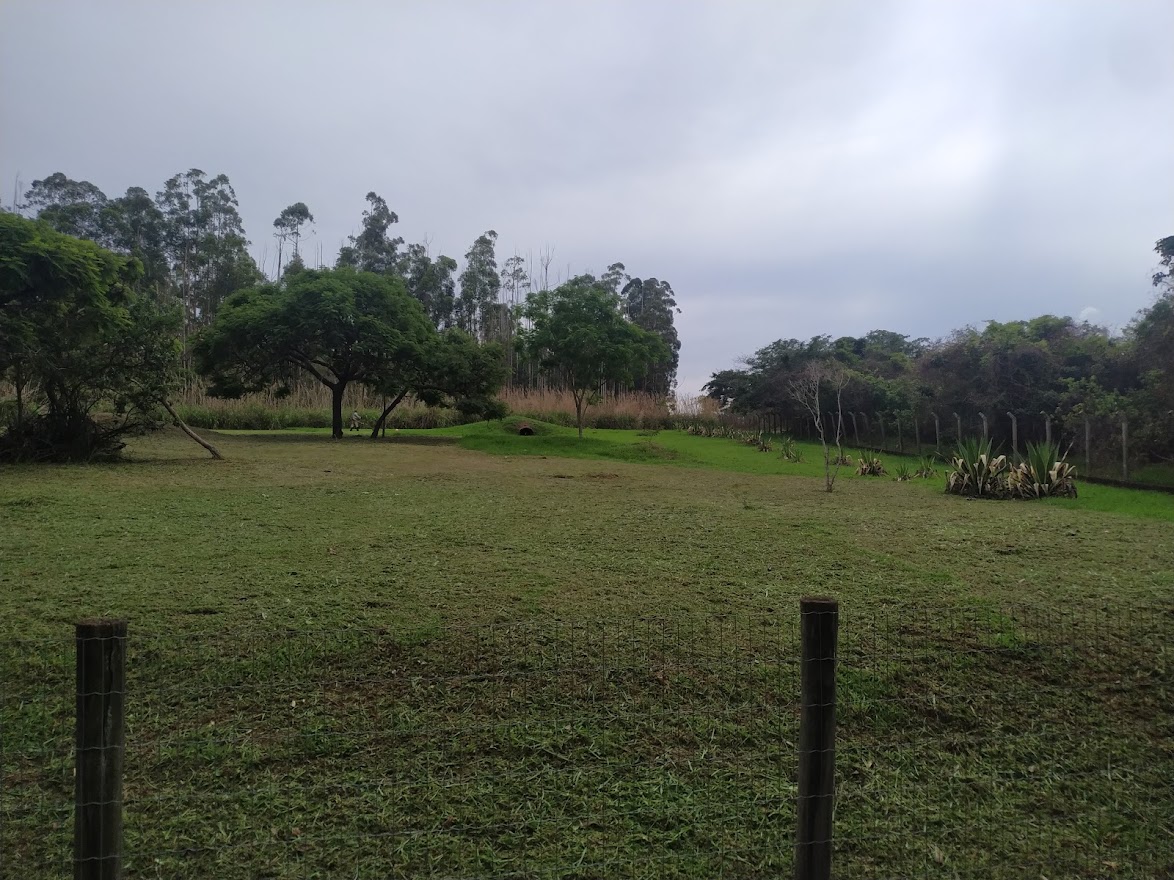 Maned Wolf Habitat Right in late October