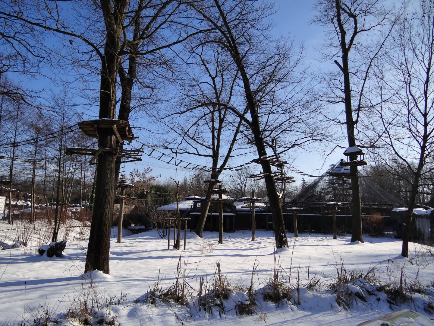 Maned wolf / howler monkey enclosure