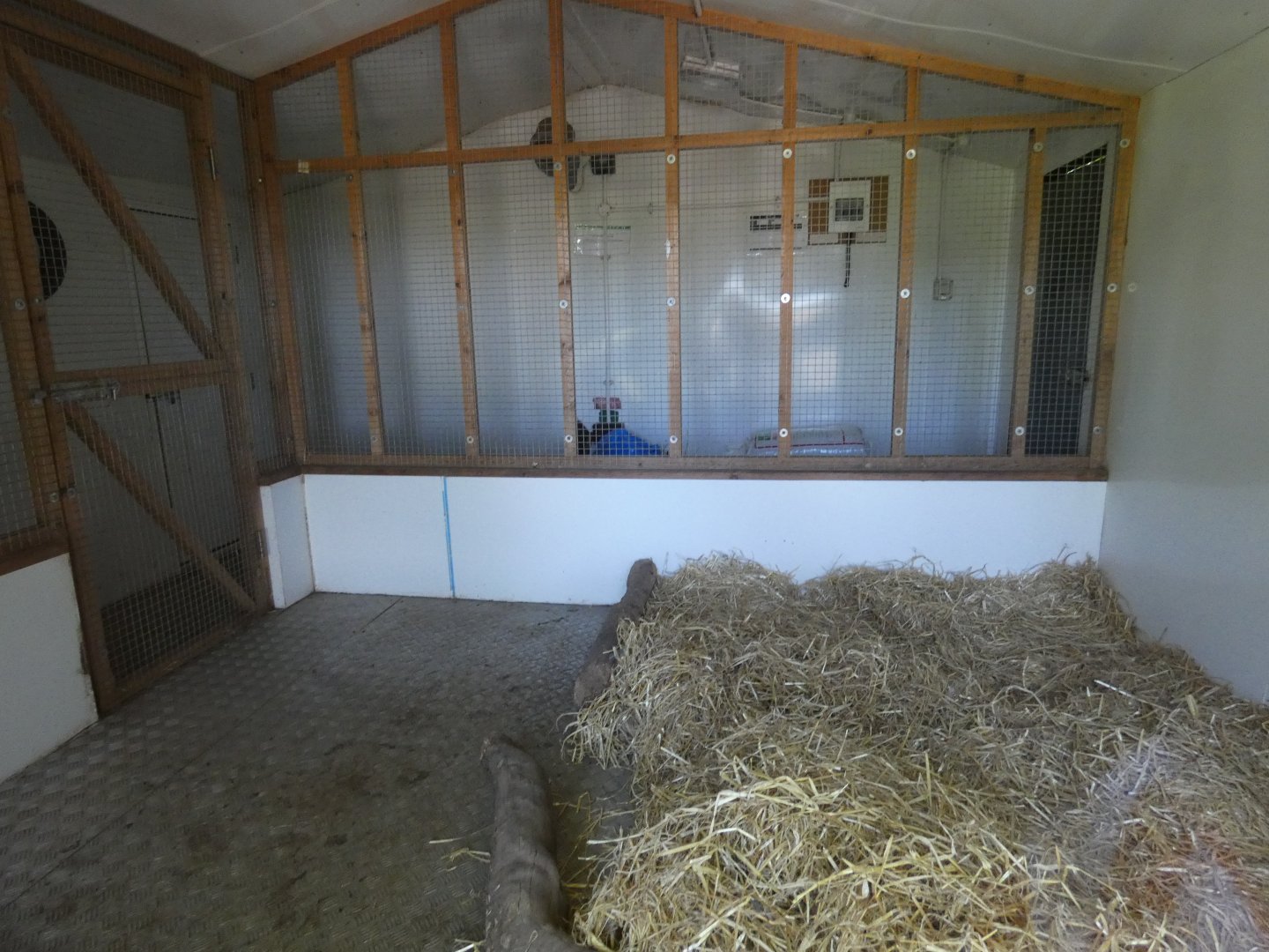 Maned wolf indoor enclosure