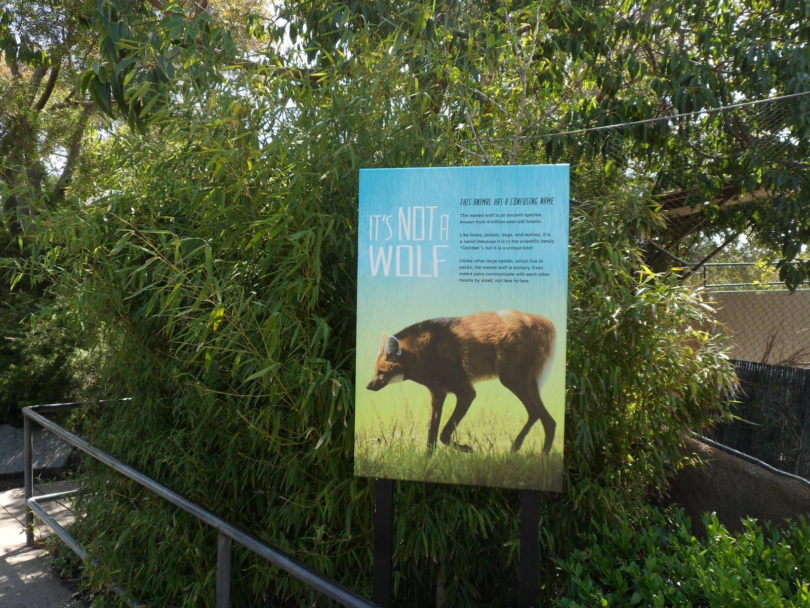 Maned Wolf Sign
