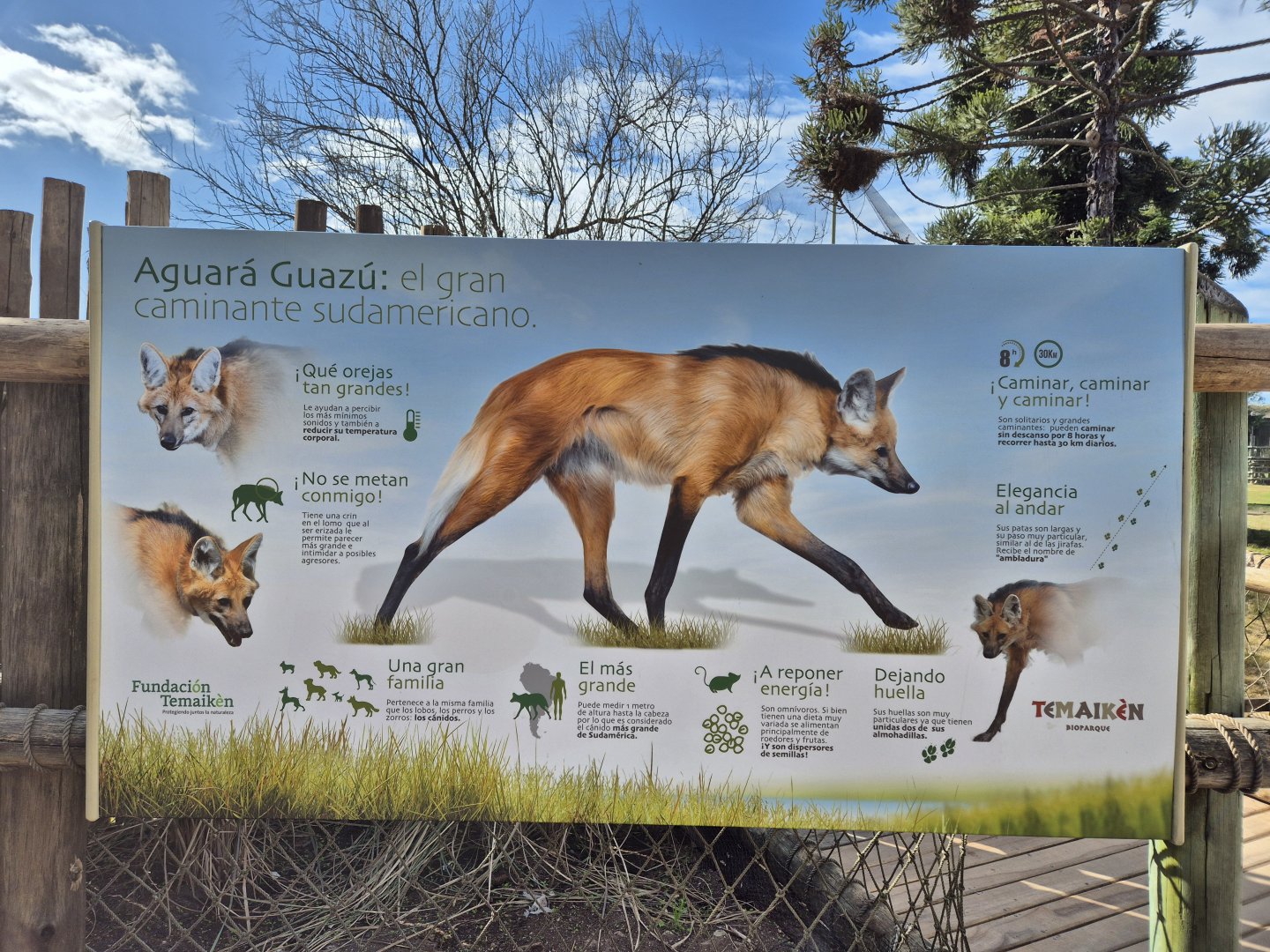 Maned Wolf sign