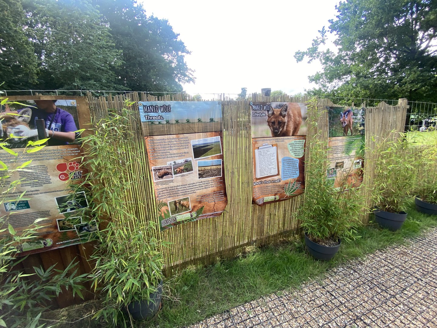 Maned wolf signage 290723