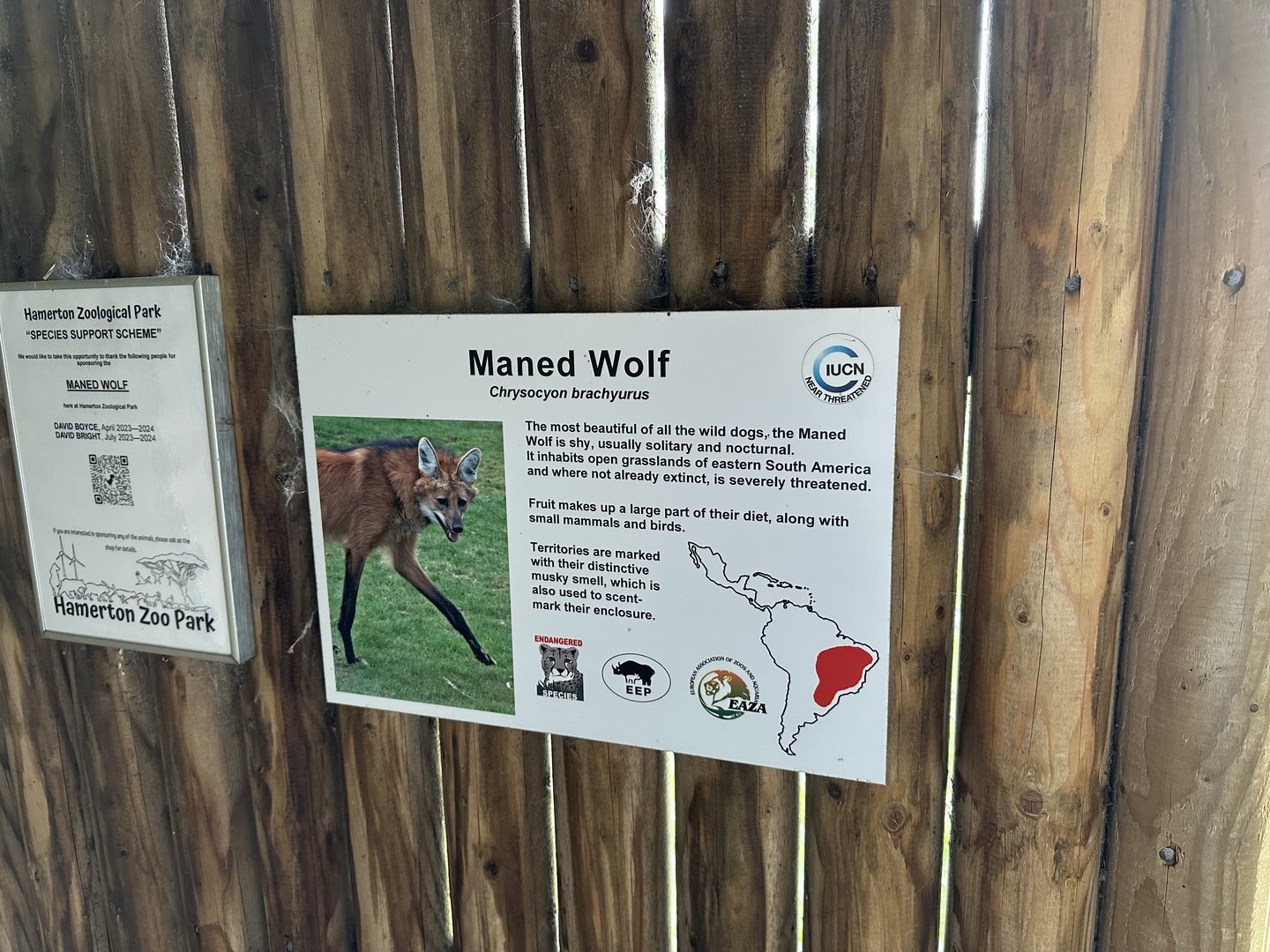Maned Wolf Signage at Hamerton Zoo Park (October 2023)