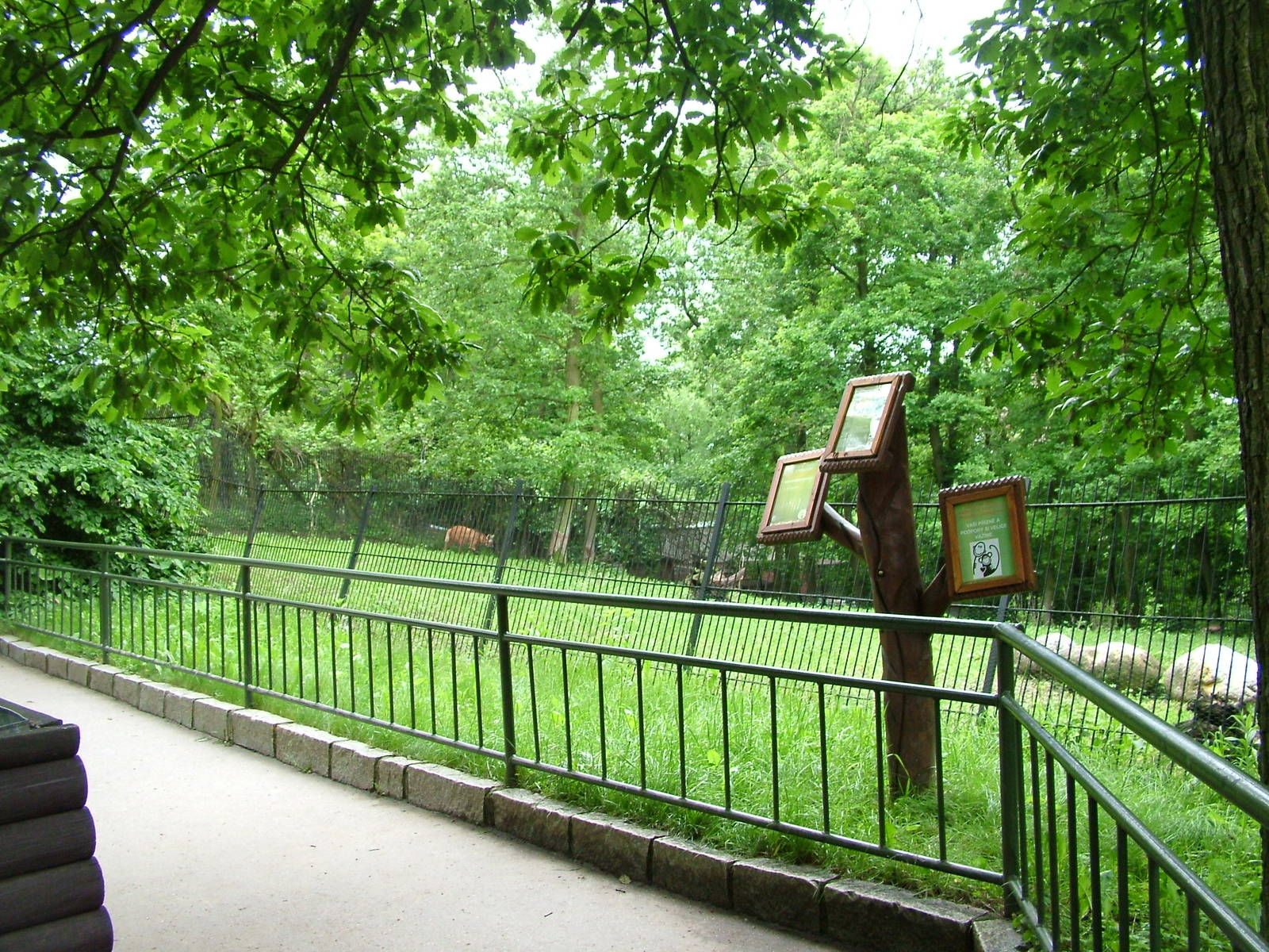 Maned Wolf viewing area at Brno, 27/05/10