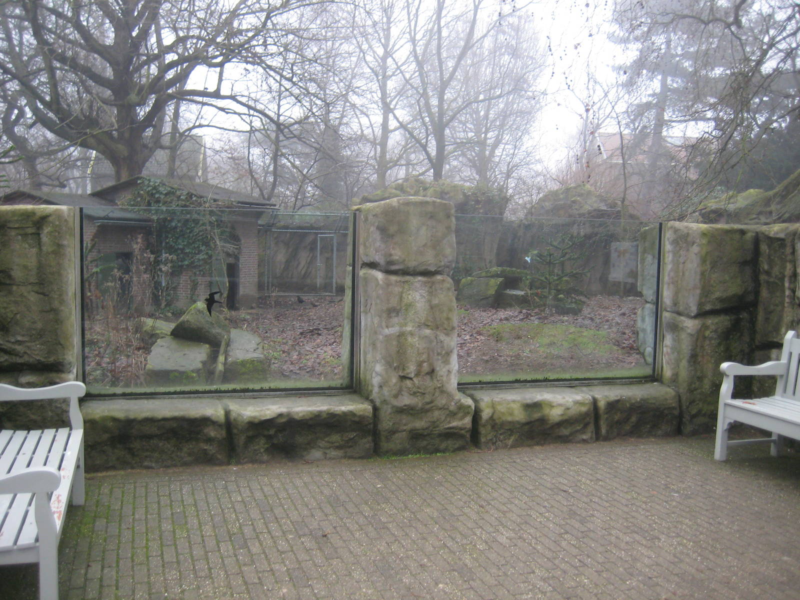 Maned wolf viewing area