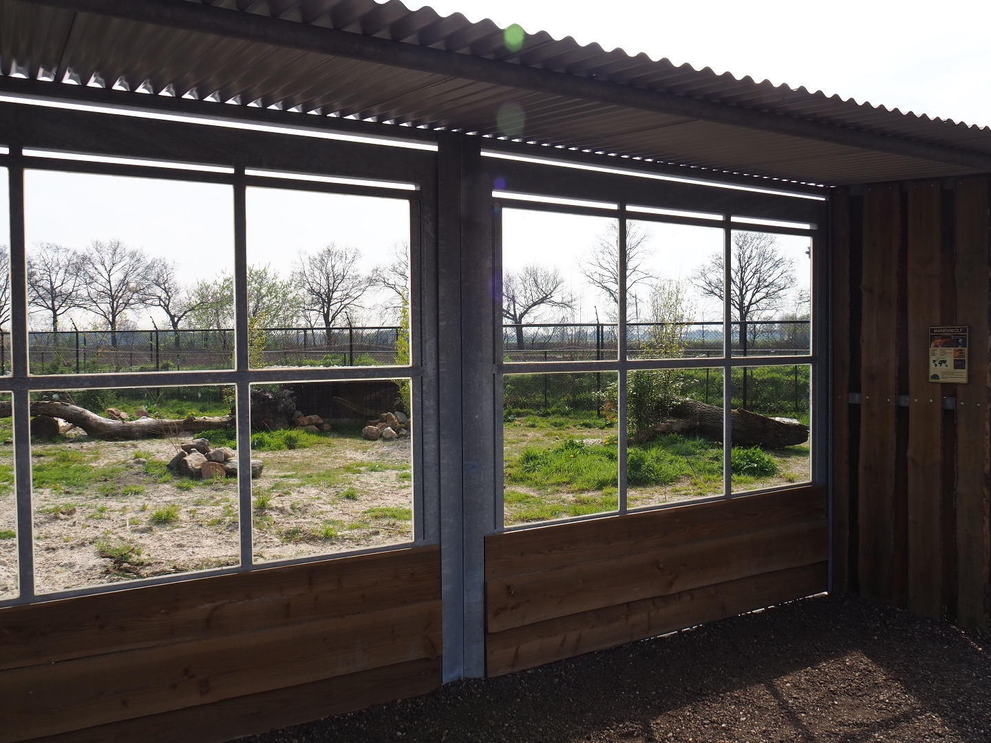 Maned wolf viewing windows, 2019-04-06