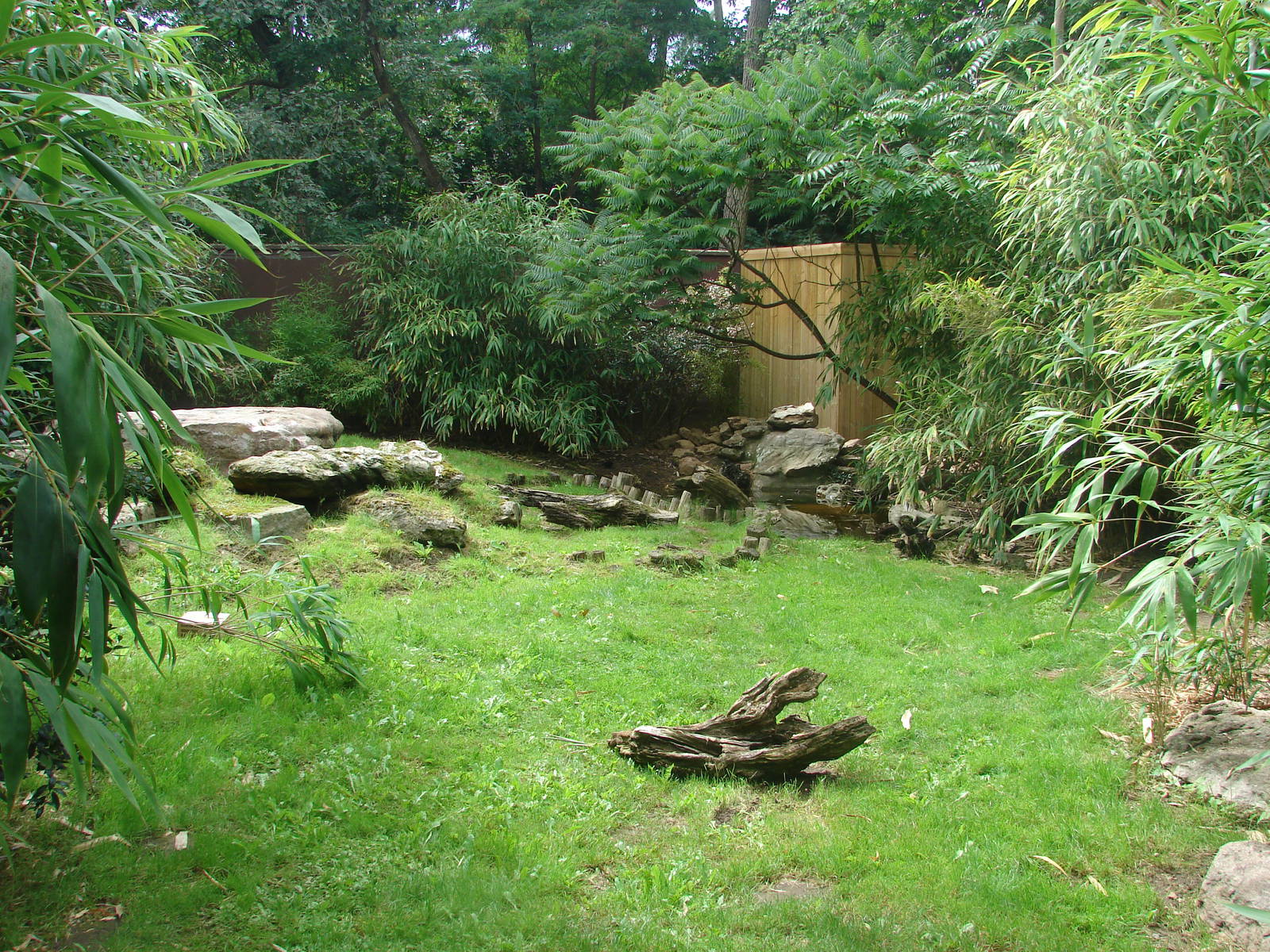 Maned wolves exhibit