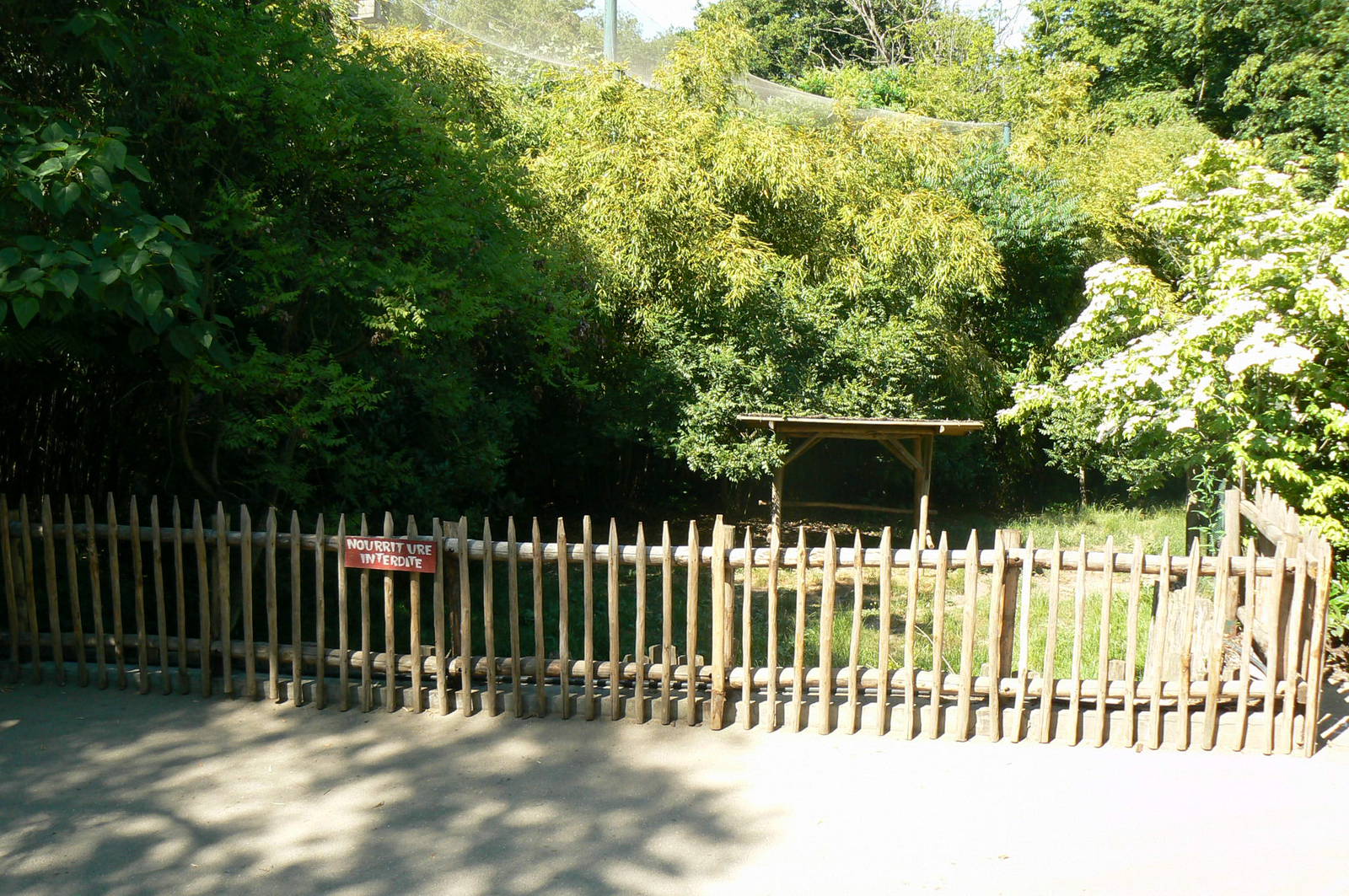 Maned wolves exhibit