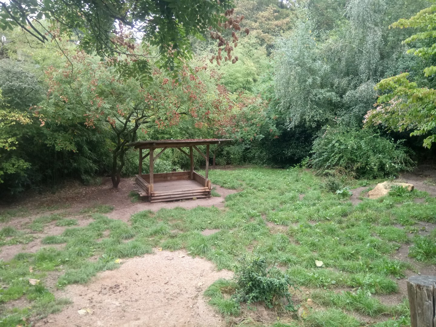 Maned Wolves Exhibit