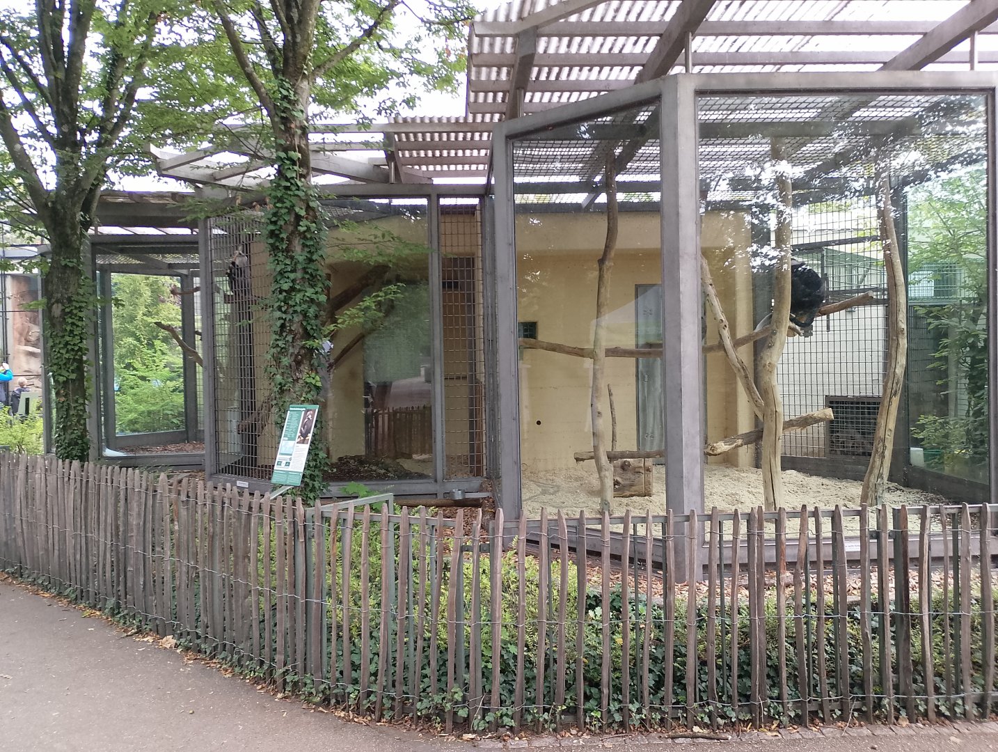 Mangabey enclosures