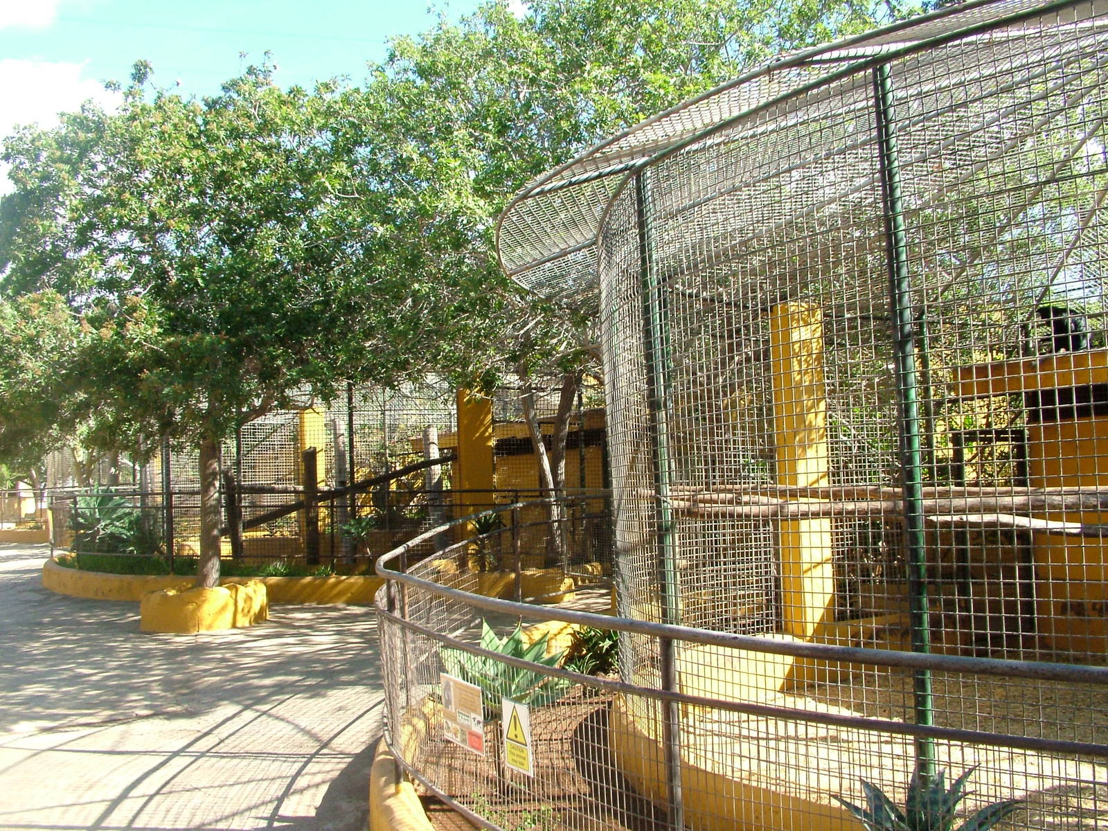 Mangabey Exhibit at Monkey Park, 09/11/10