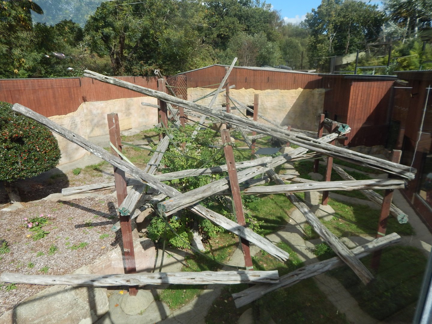 Mangabey Mangrove - Cherry-crowned mangabey enclosure 110925