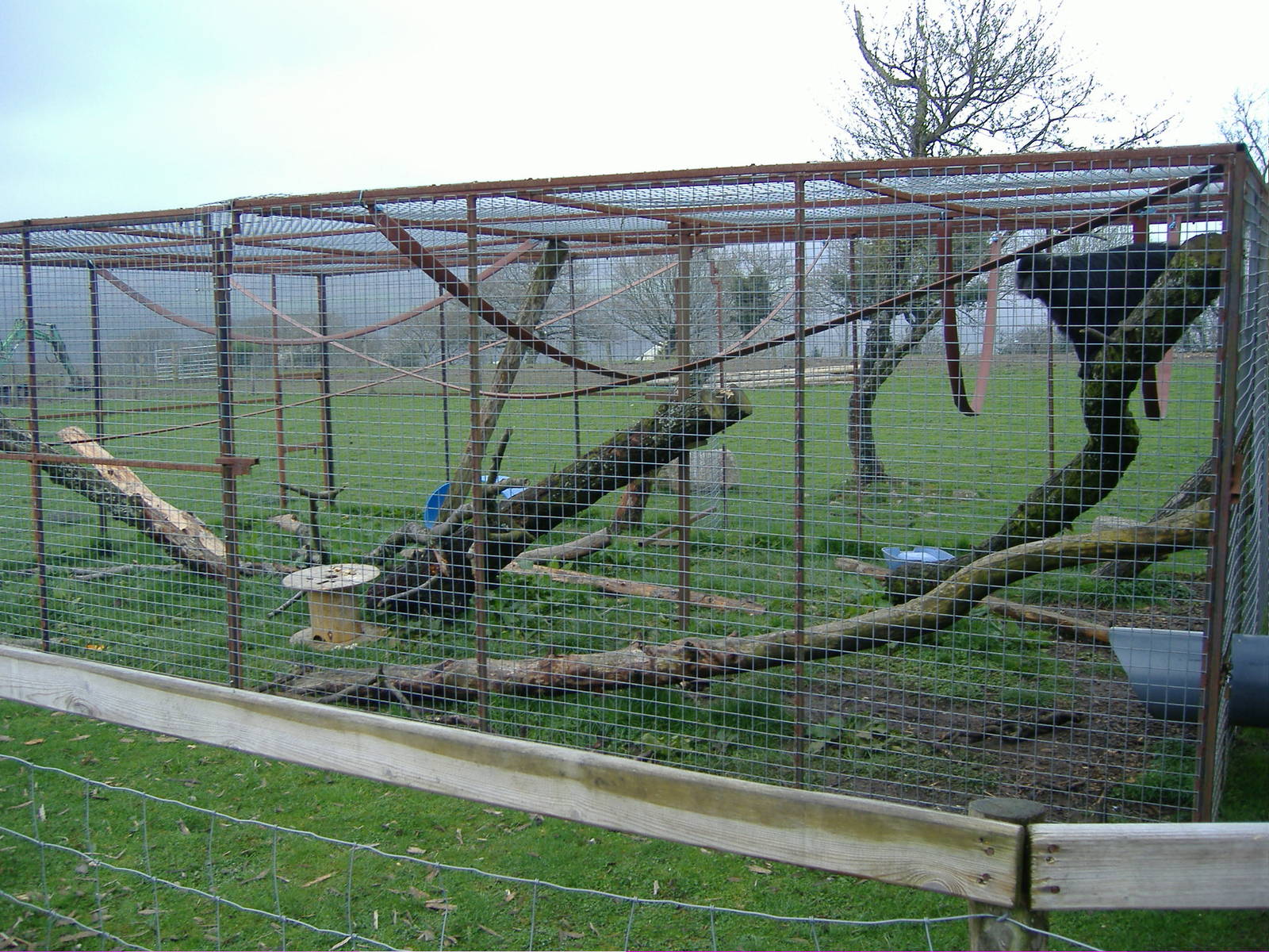 Mangabeys Cefn-yr-Erw