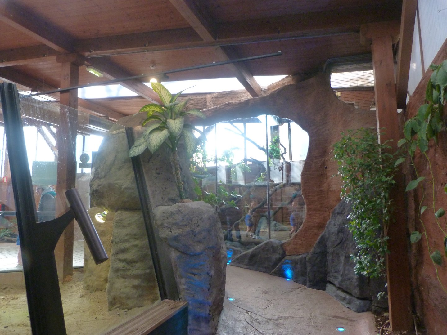 "Manglar de cocodrilos" view -Faunia (2025)