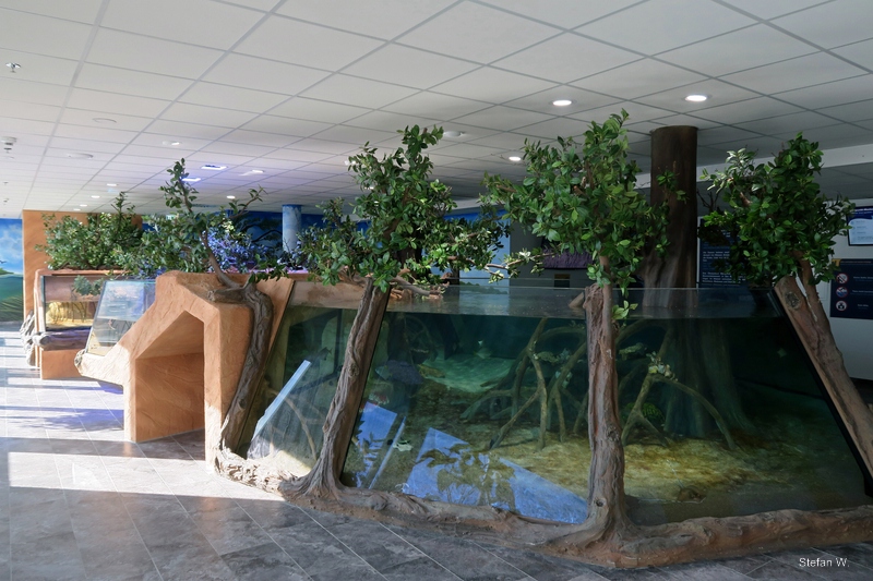 Mangrove - 8th floor