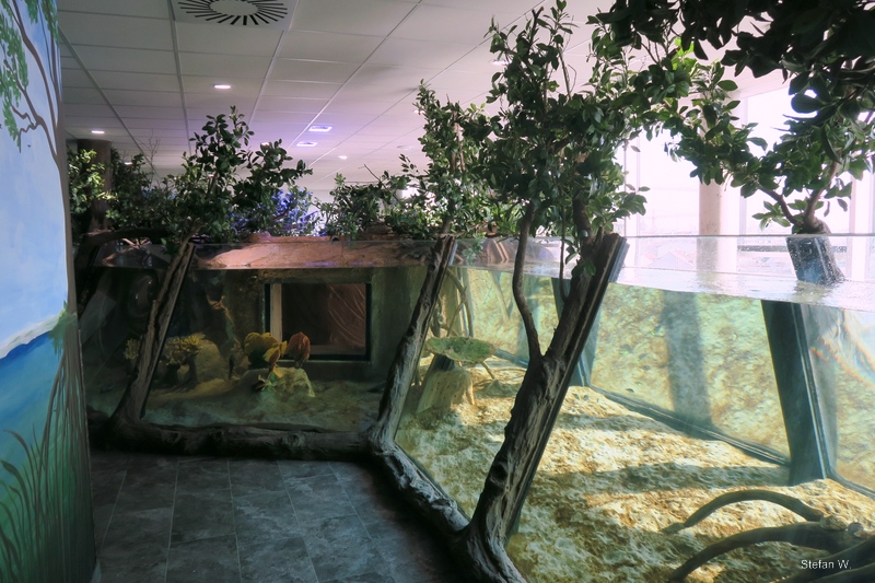 Mangrove - 8th floor