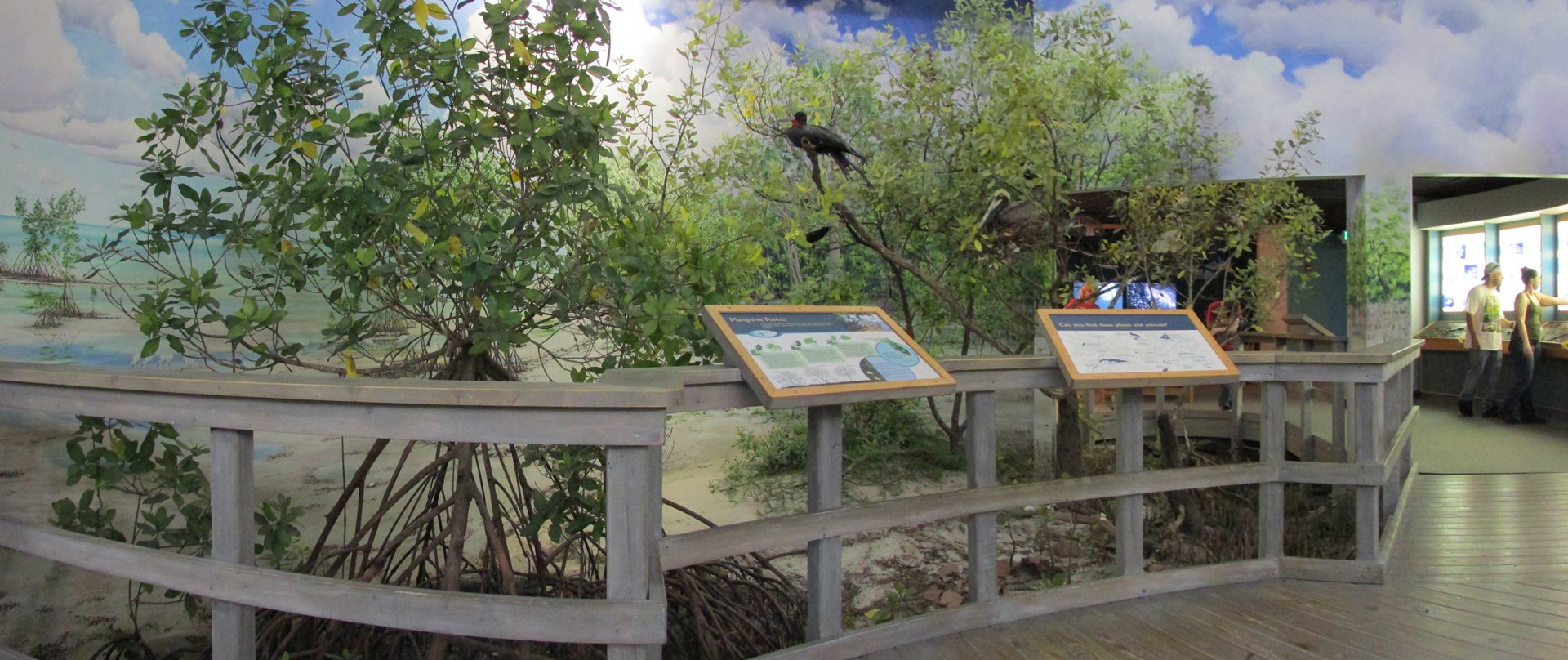 Mangrove Boardwalk Diorama Left Side