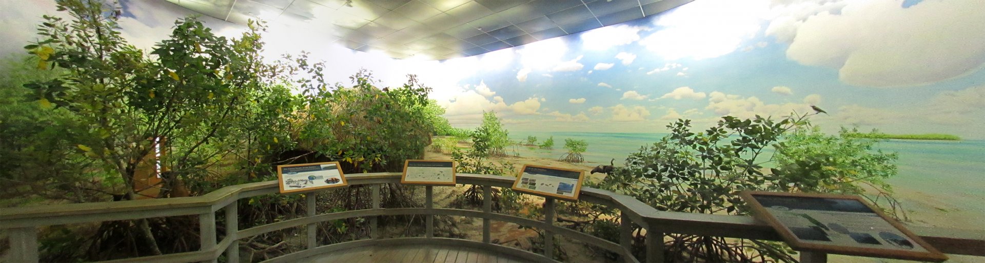Mangrove Boardwalk Diorama Right Side