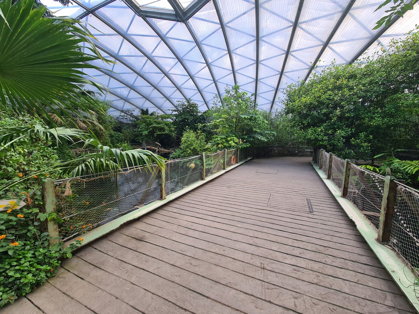 Mangrove - Bridge over manatee creek