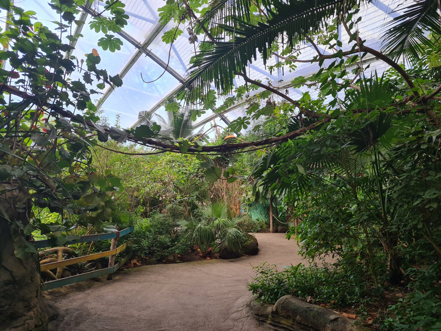 Mangrove - Coppery titi climbing frame