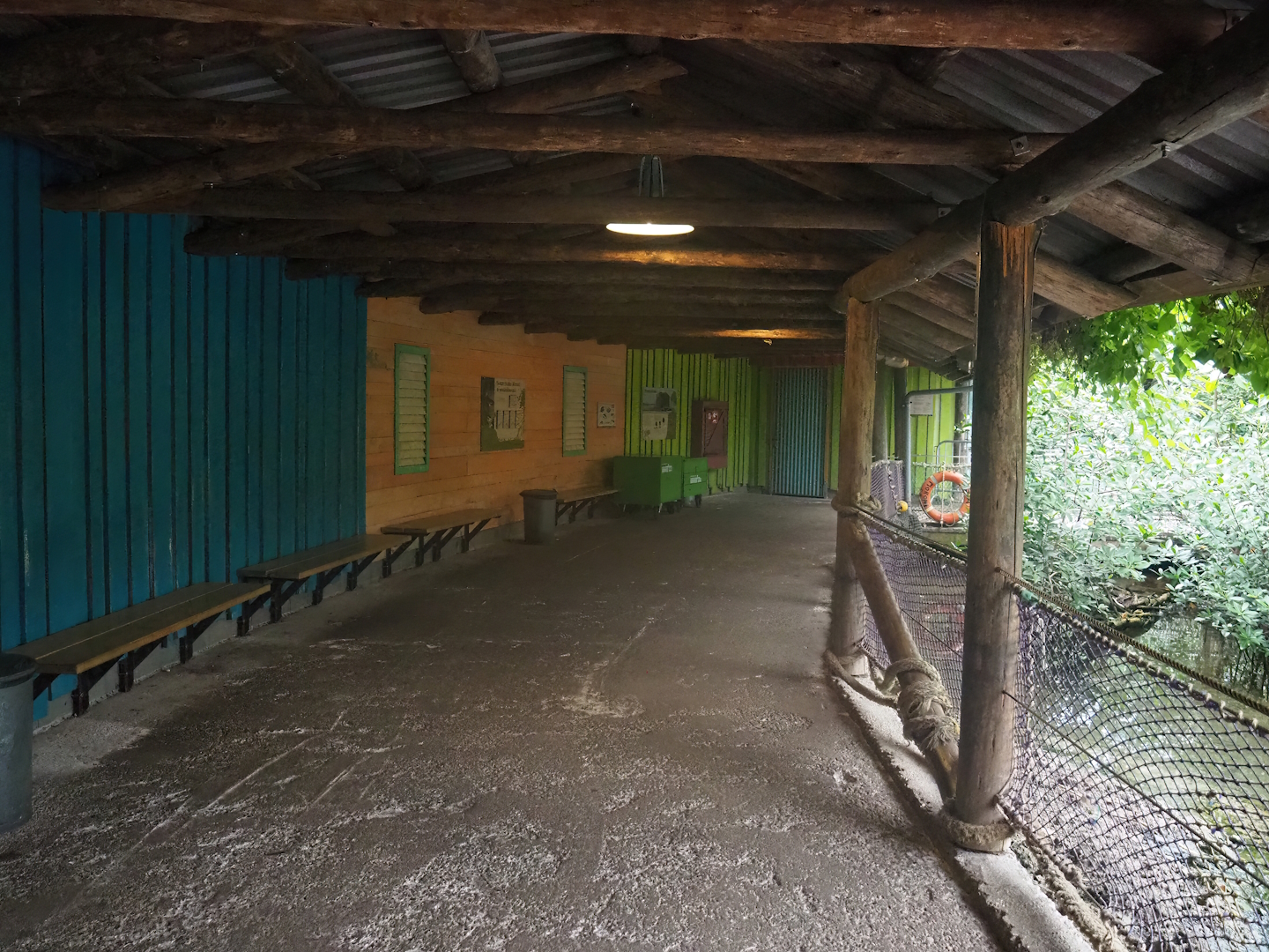 Mangrove ecodisplay - Veranda/Covered visitor area, 2023-10-07