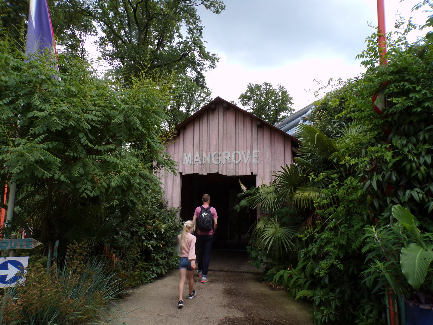 Mangrove entrance 6.7.23