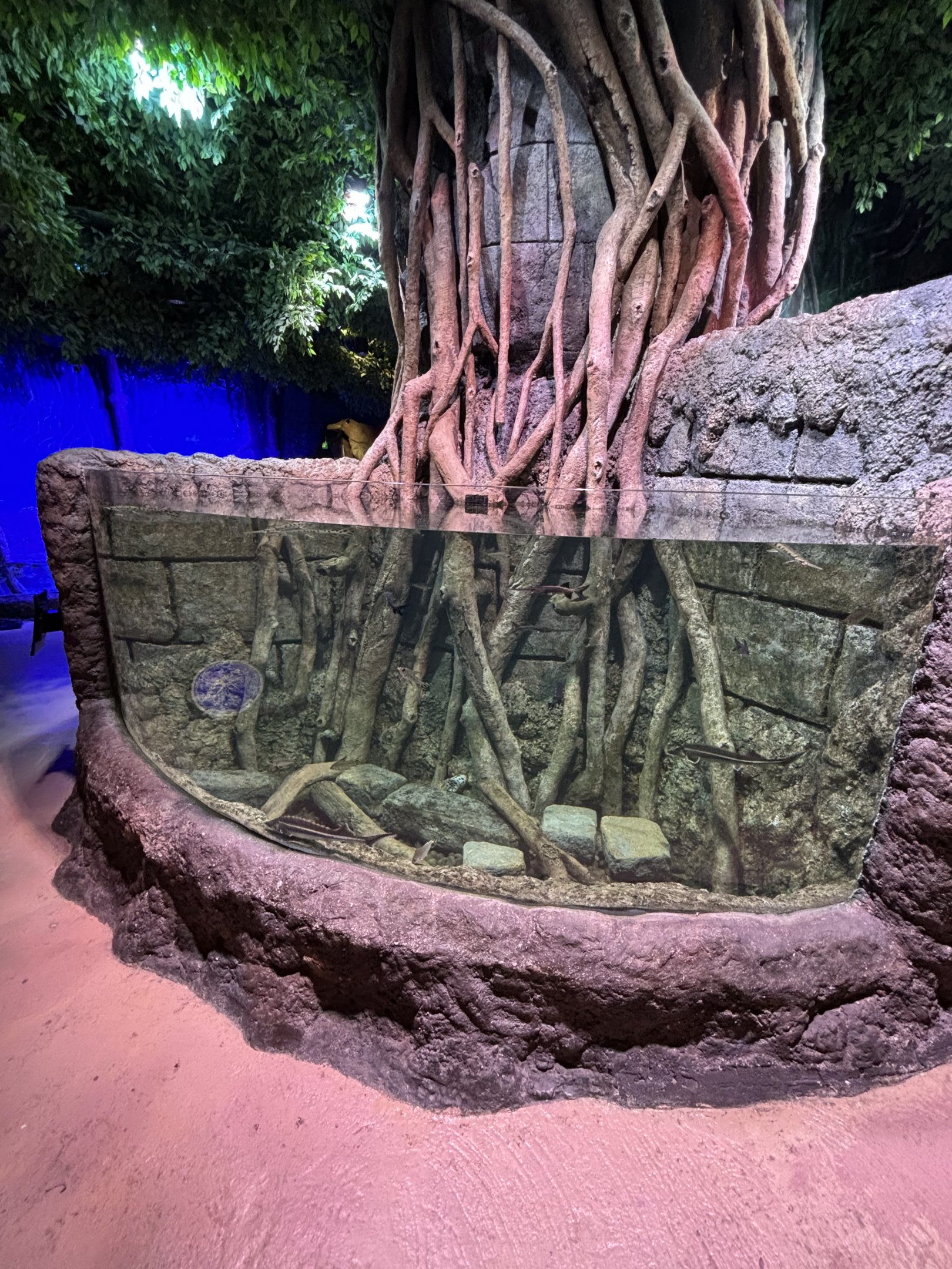 Mangrove Exhibit #1 - BXSea Aquarium