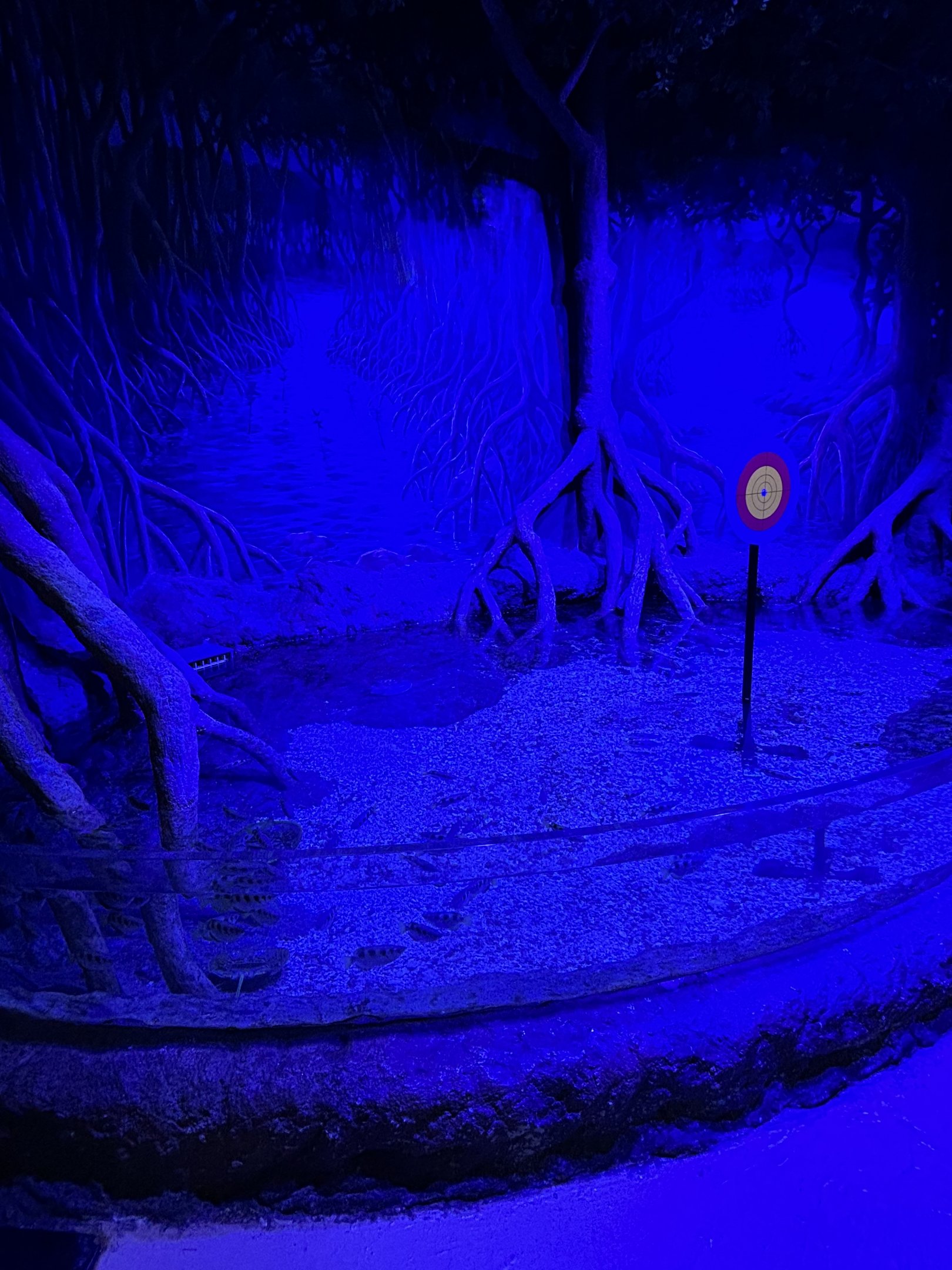 Mangrove Exhibit #2 - BXSea Aquarium