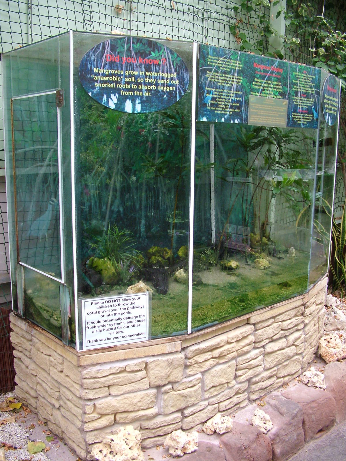 Mangrove Exhibit at the Palms: Final Visit, 08/08/10