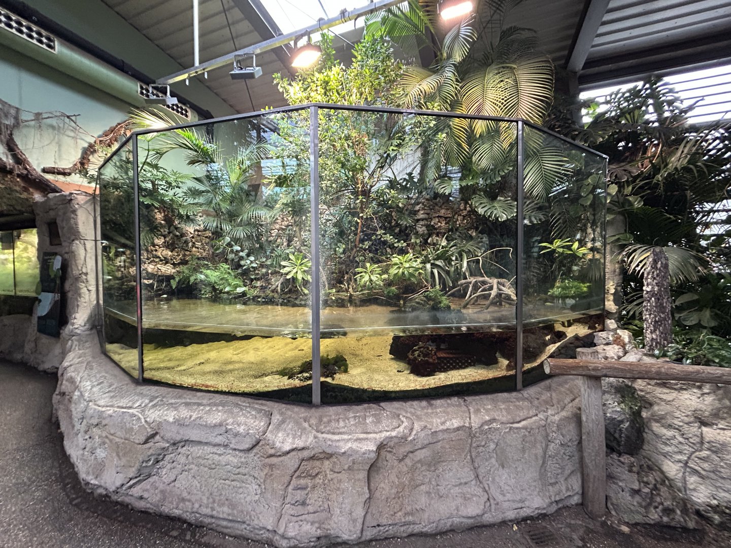 Mangrove Exhibit - Jungle House