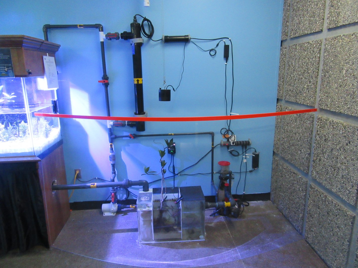 Mangrove Exhibit- Support Systems