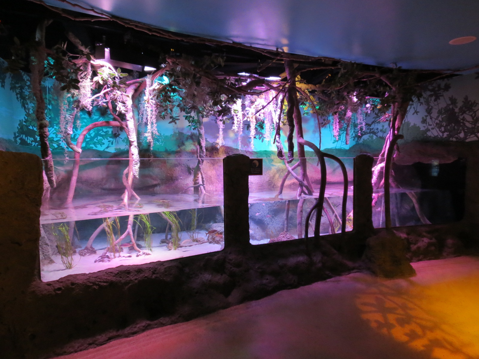 Mangrove Forest - Large Open-top Tank