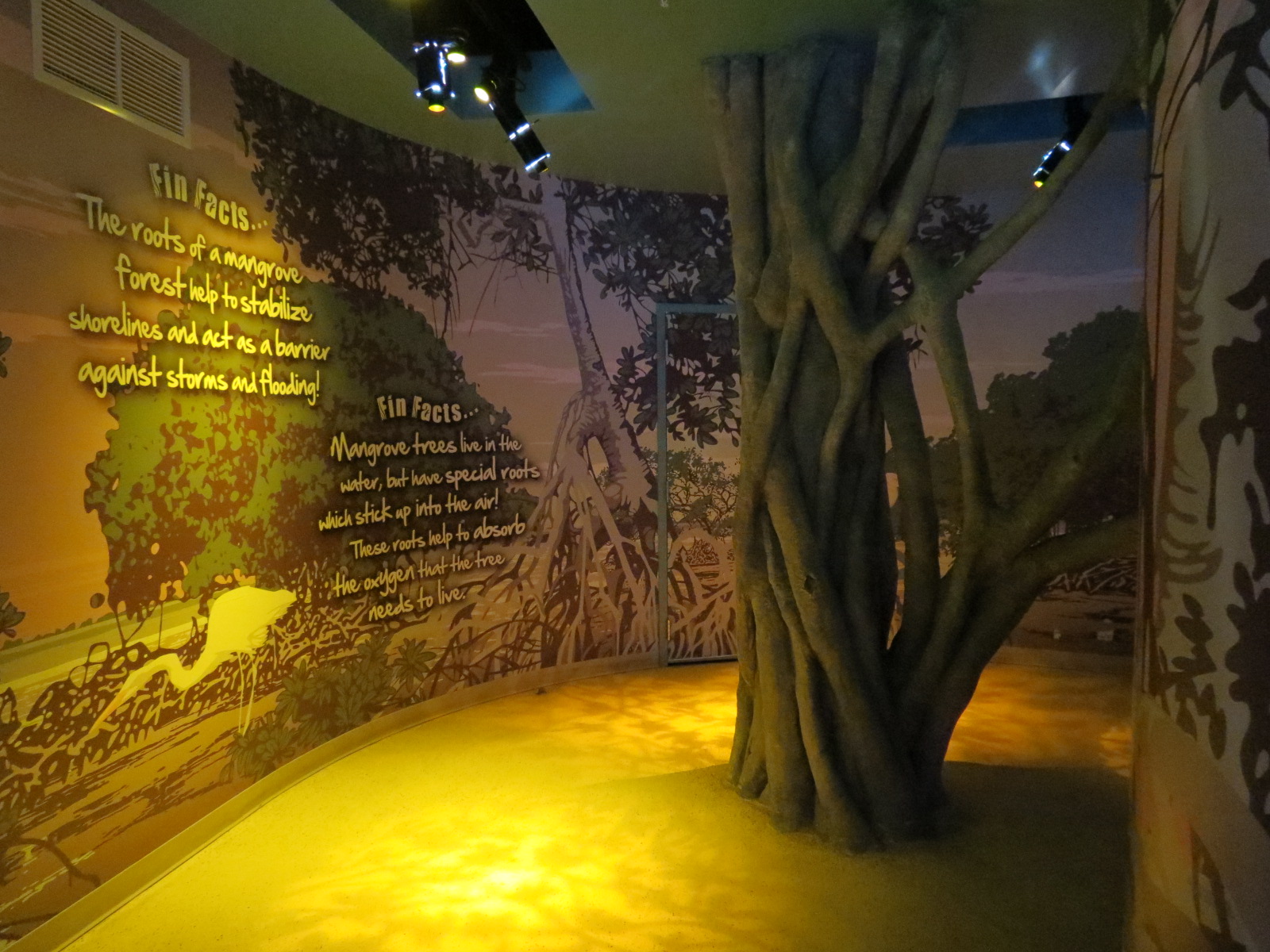 Mangrove Forest - Passageway