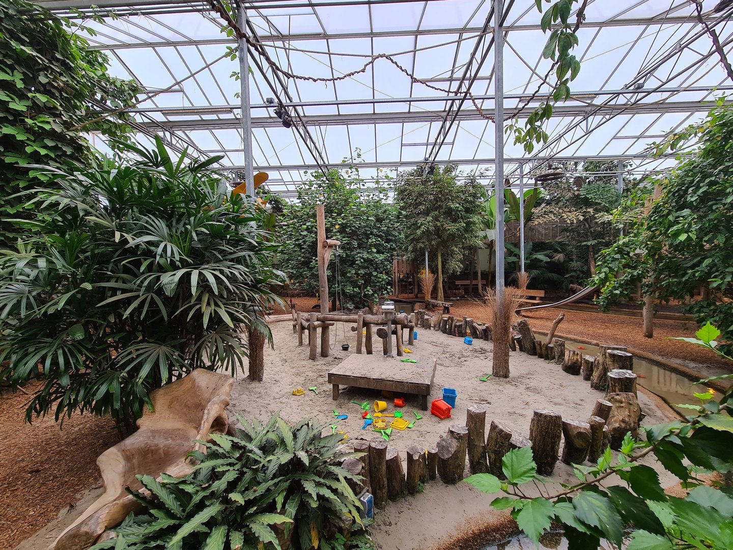 "Mangrove forest" playground