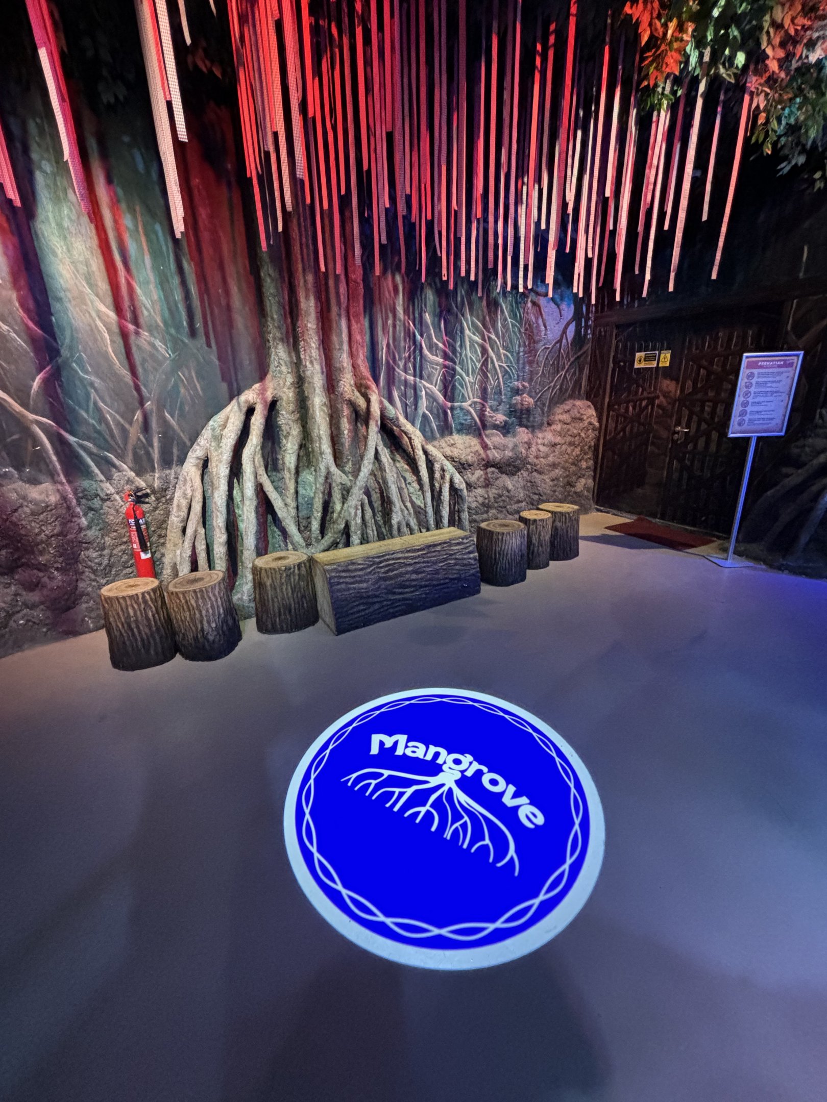 Mangrove Gallery - BXSea Aquarium