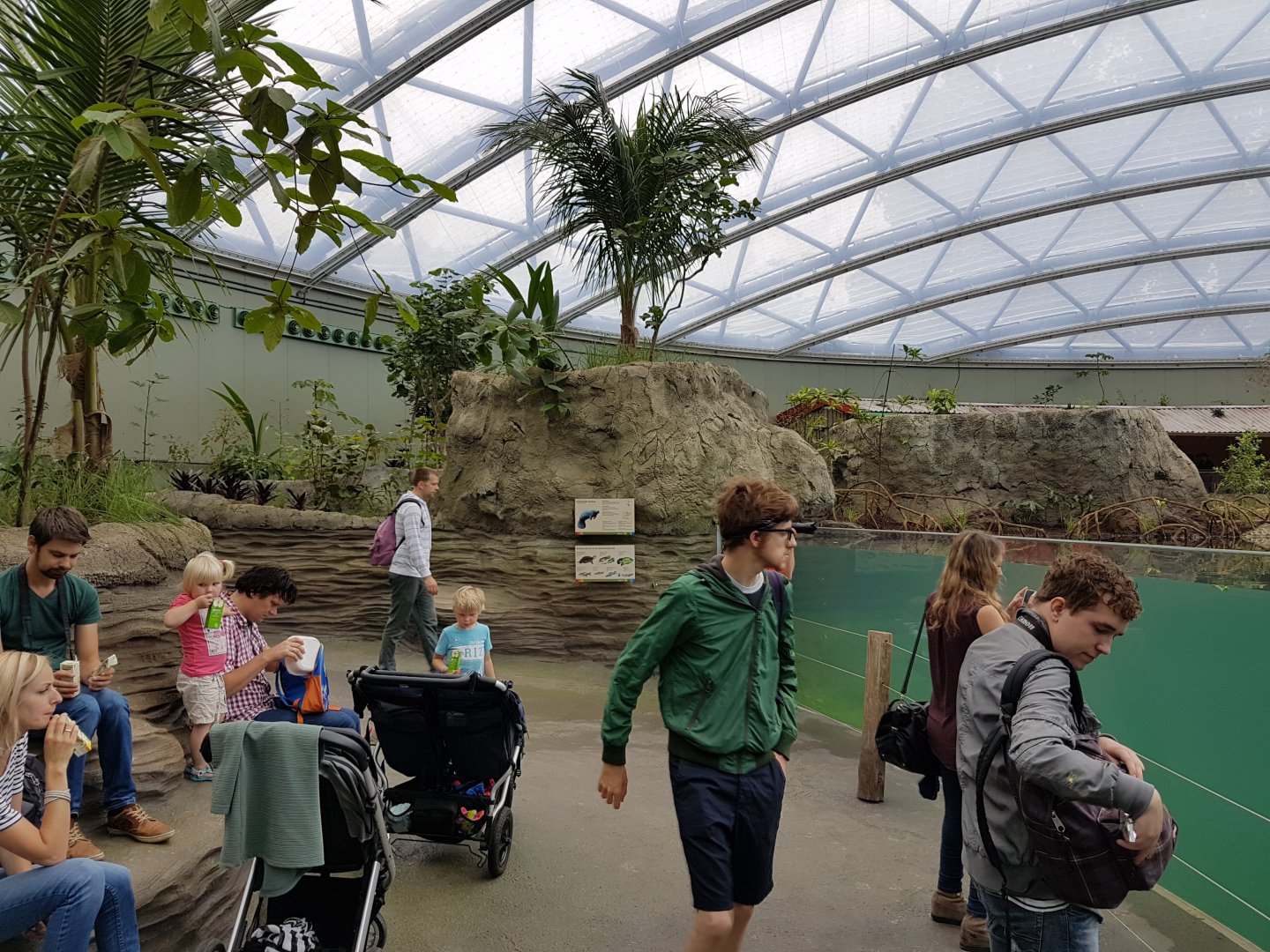 Mangrove-hall and some ZooChatters