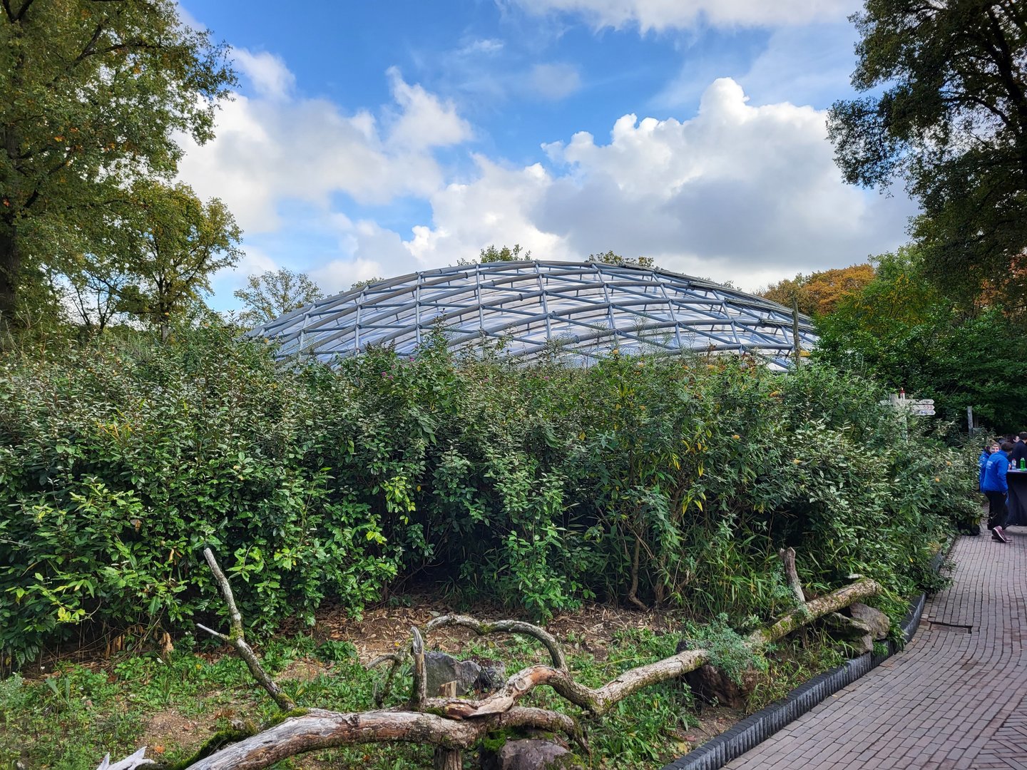 Mangrove Hall from the outside