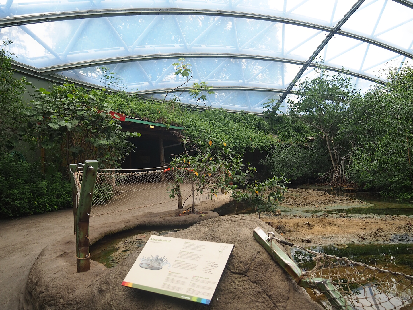 Mangrove mudflats and main walkway, with veranda/covered viewing area in the background, 2023-10-07