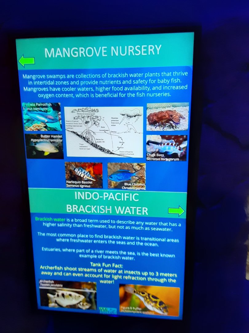 Mangrove Nursery/Indo Pacific Brackish Water Signage