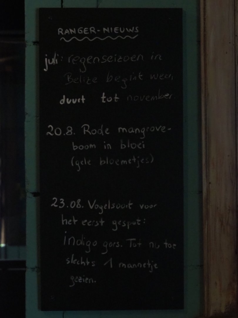 Mangrove "ranger news" board (Sep 16th, 2018)