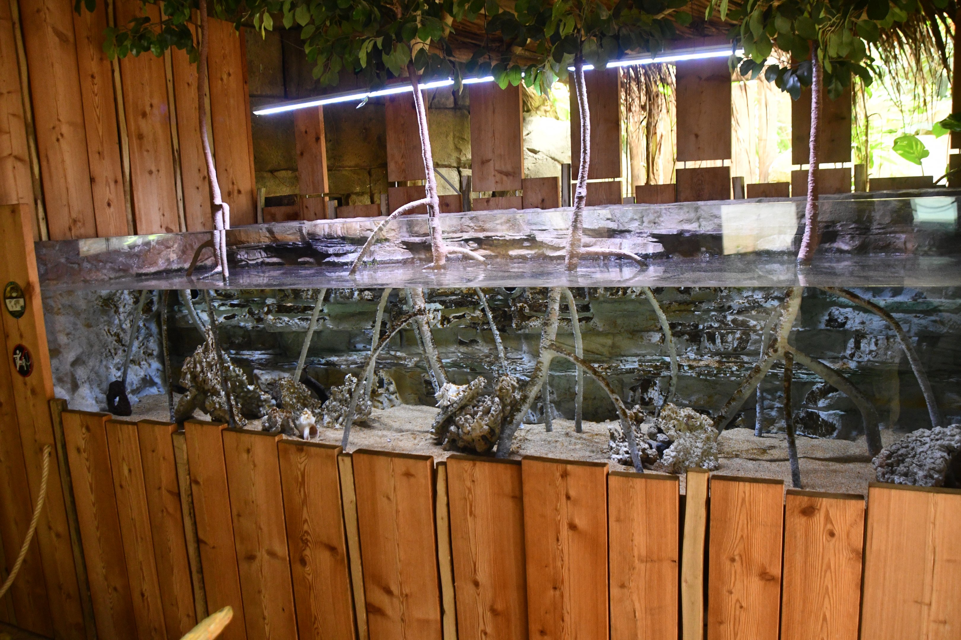 Mangrove tank (House of Giants)