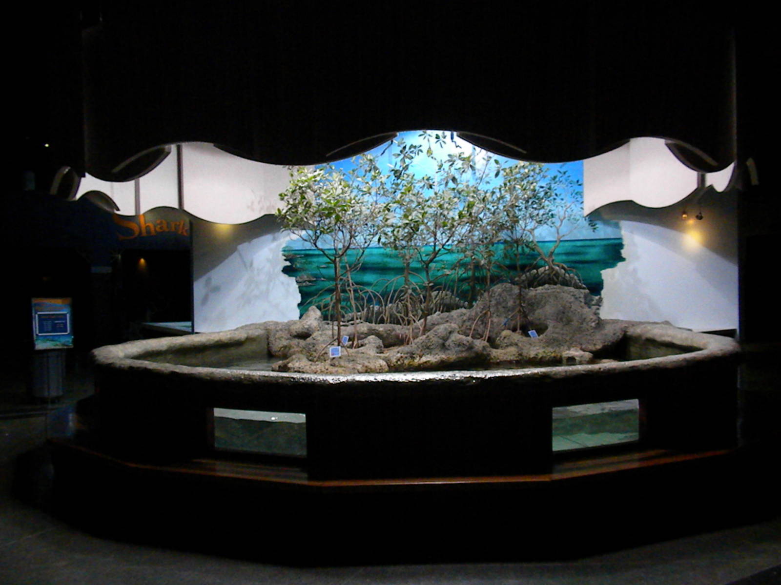 Mangrove Tank